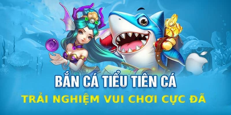 Giới thiệu đơn giản về trò chơi Bắn Cá Tiểu Tiên